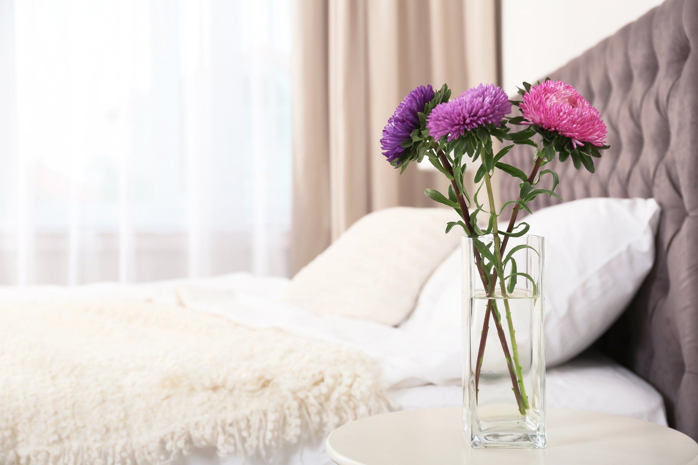 Beautiful Flowers in Vase and Space for Text on Blurred Background. Element of Interior Design